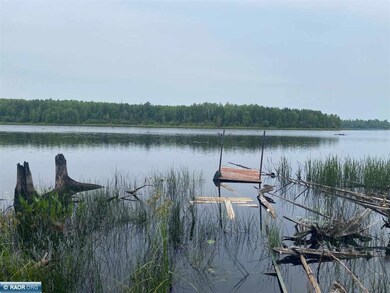 TBD Hwy 1, Tower, MN 55790 - photo 4