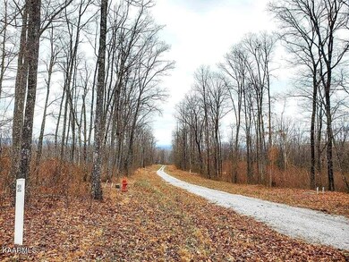 Lot 15-3 Upper Eagle's Nest Rd Pic 1