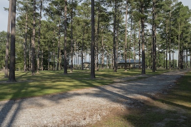 12404 Dozier Hwy, Brantley, AL 36009 - photo 4