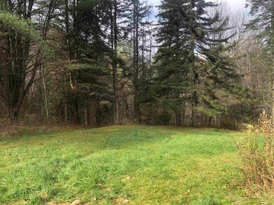 170 Mcnamara Rd, Middletown Springs, VT 05757 - photo 5