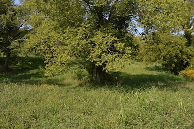 759 Goose Creek Rd, Shelbyville, TN 37160 - photo 7