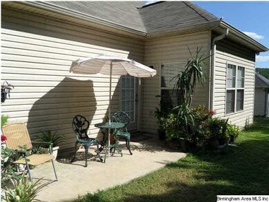 Patio Area Behind house