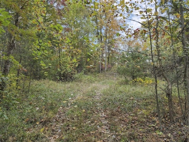 7-web-or-mls-DJI_0962