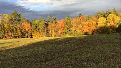 00 Wells Rd, Cavendish, VT 05142 - photo 5