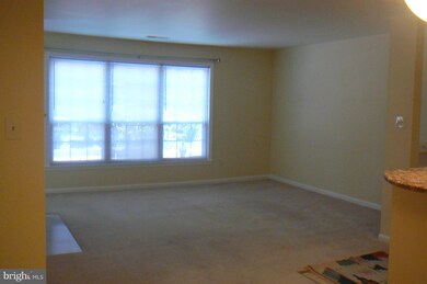 11717 Karbon Hill Ct unit 709H, Reston, VA 20191 - photo 7