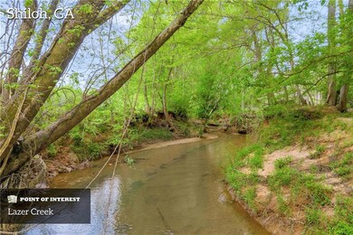 2450 Chestnut Grove Rd, Shiloh, GA 31826 - photo 4