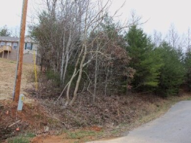 Lot 61 Hidden River Ln, Spencer, TN 38585 - photo 3