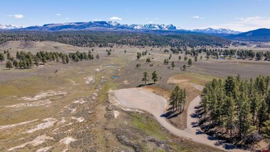 109 Hemlock Place, Pagosa Springs, CO 81147 - photo 4