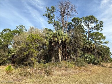 View of nature