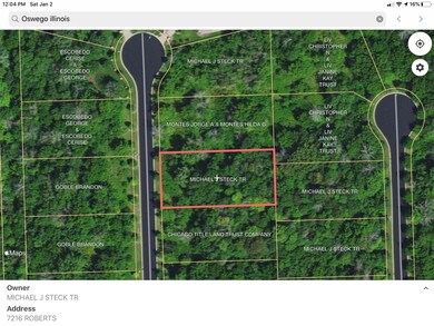 7216 Roberts Ct, Oswego, IL 60543 - photo 2