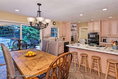 1280 Snowbunny Ln unit 1, Aspen, CO 81611 - photo 6