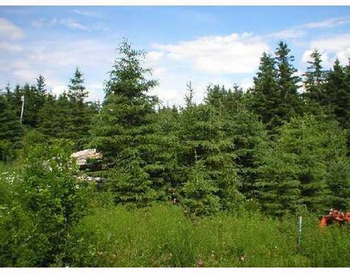 Land/Lot. Beautriful mature spruce...