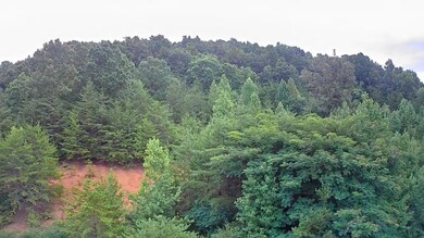 IMG_20240718_1151025