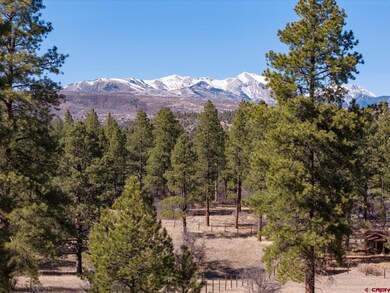 699 N Lakeside Dr, Durango, CO 81303 - photo 5