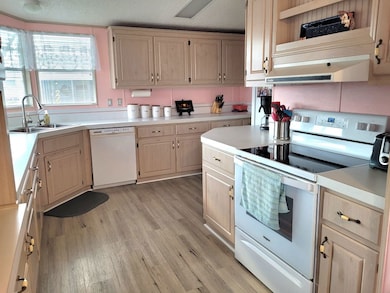 5945 Benz Place unit 646, Zephyrhills, FL 33540 - photo 3