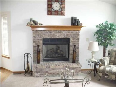 FIREPLACE IN LIVING AREA WOODBURNING WITH GAS STAR