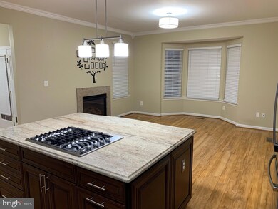 22601 Welborne Manor Square, Ashburn, VA 20148 - photo 7