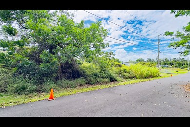 Approximate boundaries of lot 590 marked by cones.  Photo taken looking in the direction of Kahakai Blvd.