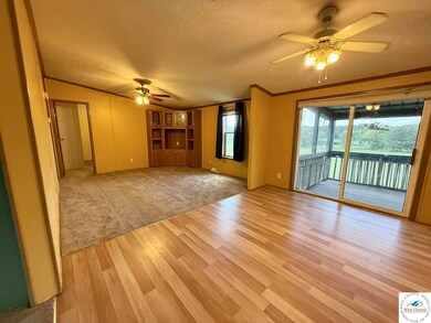 1027 SE 101 Private Rd, Deepwater, MO 64740 - photo 7