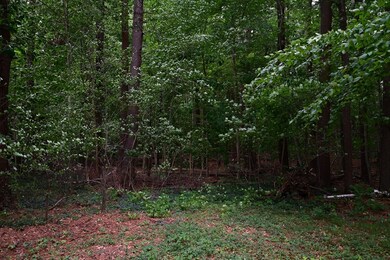 438 Maquan St, Hanson, MA 02341 - photo 2