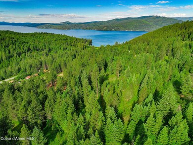 5-web-or-mls-Aerial-Drone-21