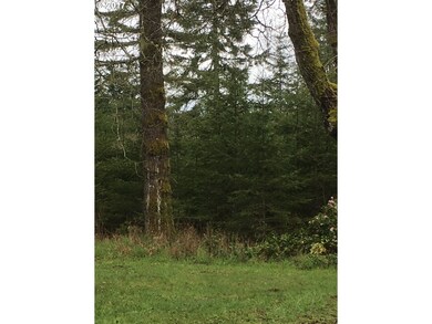 0 Bedell Rd, Deer Island, OR 97054 - photo 2