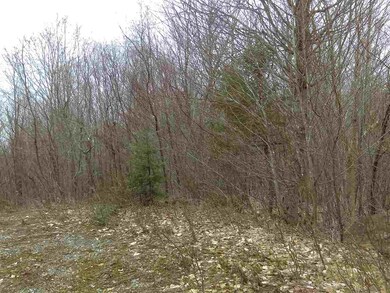 Lot 67 Hampshire Woods Loop, Errol, NH 03579 - photo 6