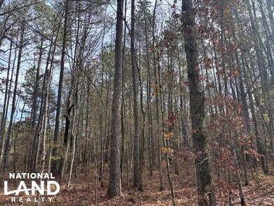 0 Ms Hwy 12 W, Starkville, MS 39759 - photo 4