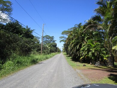0 9th Ave (Kalaunu) unit 718806, Keaau, HI 96749 - photo 5