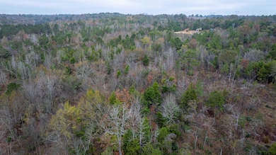 000 County Road 3272, Frankston, TX 75763 - photo 6