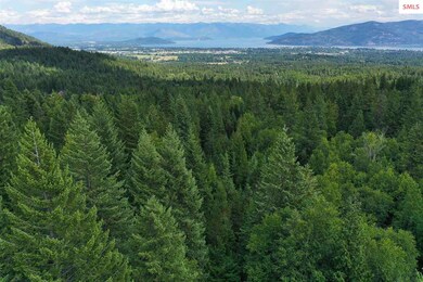 1231 Janish Dr, Sandpoint, ID 83864 - photo 4