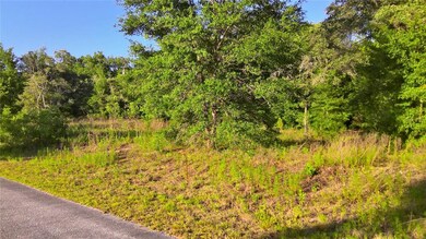 TBD SW Valencia Heights Ave, Dunnellon, FL 34431 - photo 5