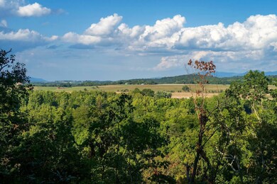 Lot 2 Shuler Ln, Stanley, VA 22851 - photo 4