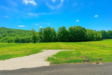 0 E Mountain Rd unit 73390786, Adams, MA 01220 - photo 4