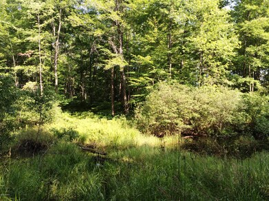 0 Cedar Rd, Lincoln Township, MI 48625 - photo 4