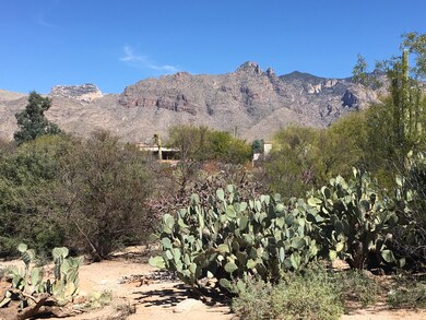 North mountain views