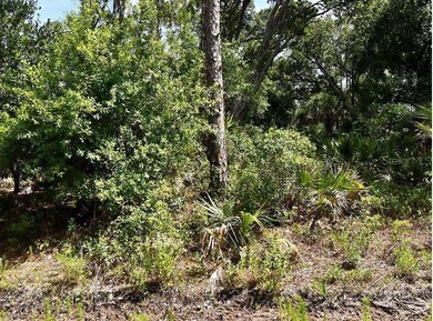 Lot 15 Jadol St, North Port, FL 34286 - photo 5