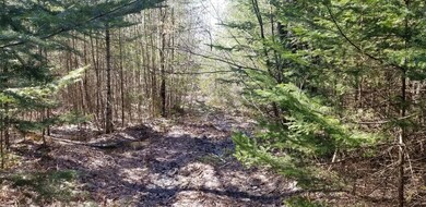 20230414_141225_resized