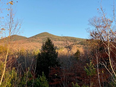 18 Highwoods Dr unit 18, Bartlett, NH 03845 - photo 6