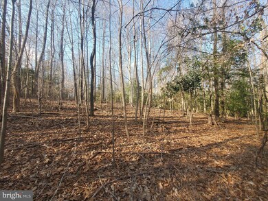 0 Cammack Dr unit VACV2001750, Ruther Glen, VA 22546 - photo 5