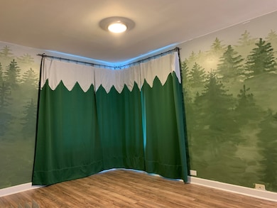 841 S Julian St, Naperville, IL 60540 - photo 6