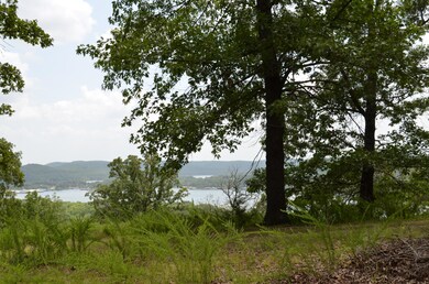 Lots 8-12 Cliffside Dr, Flat Creek B Township, MO 65656 - photo 4