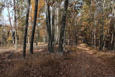 0 Easter Ridge Ln unit LotWP007 23743103, Gainesboro, VA 22603 - photo 2