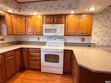 3611 N Avalon Place, Peoria, IL 61604 - photo 4