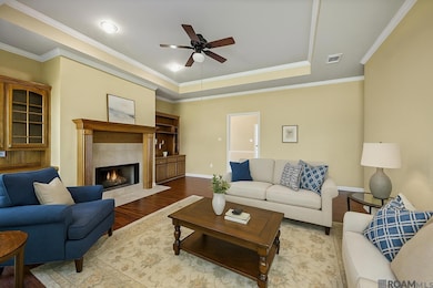 10296 Carter Hills Ave, Denham Springs, LA 70726 - photo 3