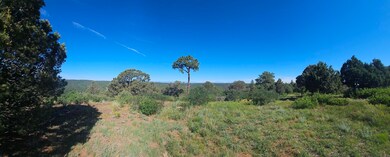 33021 Big Springs Overlook, Trinidad, CO 81082 - photo 4