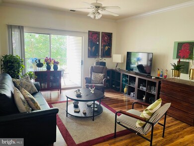 13501 Kildare Hills Terrace, Germantown, MD 20874 - photo 4