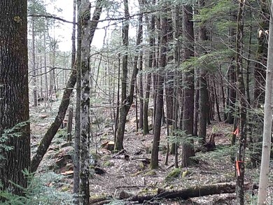 155 Pine Hill Rd, Ossipee, NH 03890 - photo 4