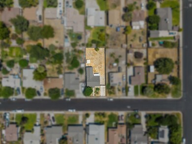 Birdseye 3