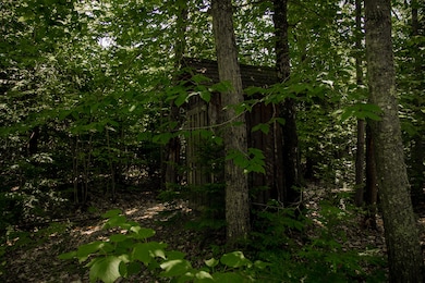 208 River Rd, Weld, ME 04285 - photo 7